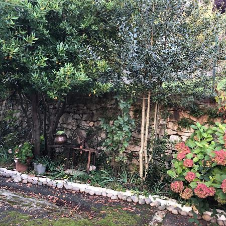 La Casa Verde B&B Trivero Dış mekan fotoğraf